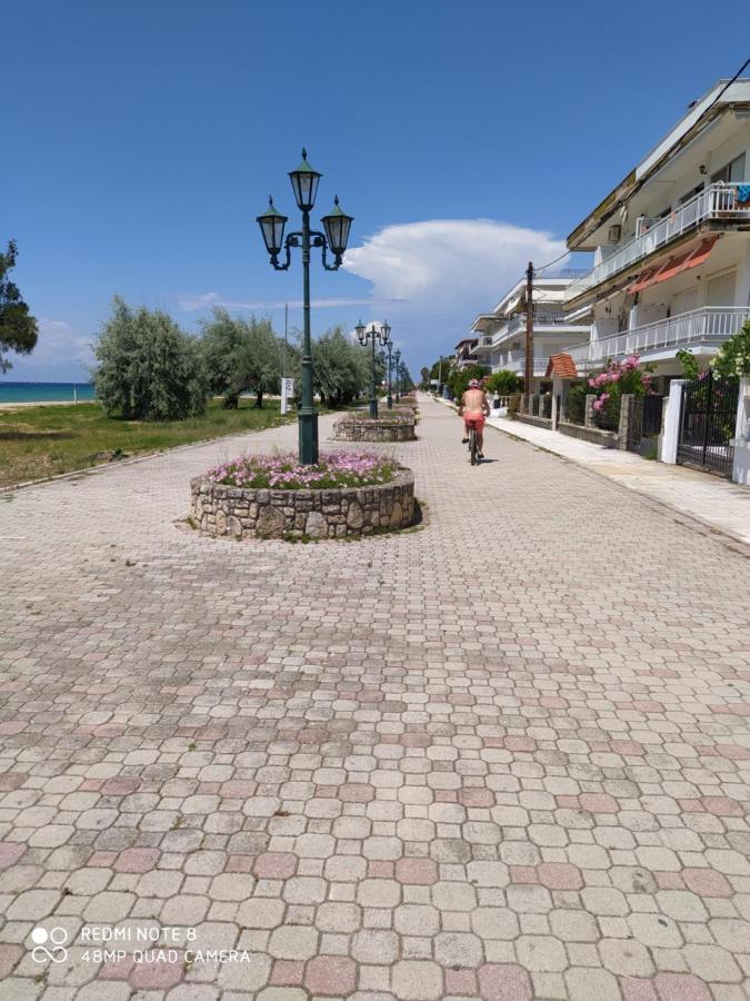 Hause Zorbas Aparthotel Paralia Dionysiou Exterior photo